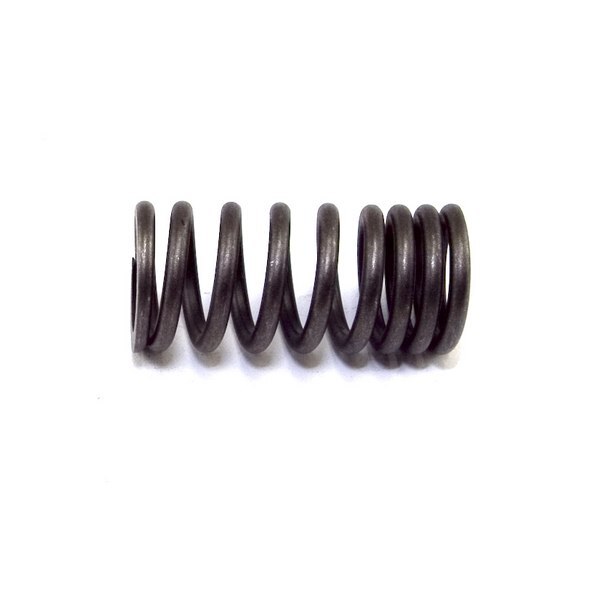 Engine Valve Spring